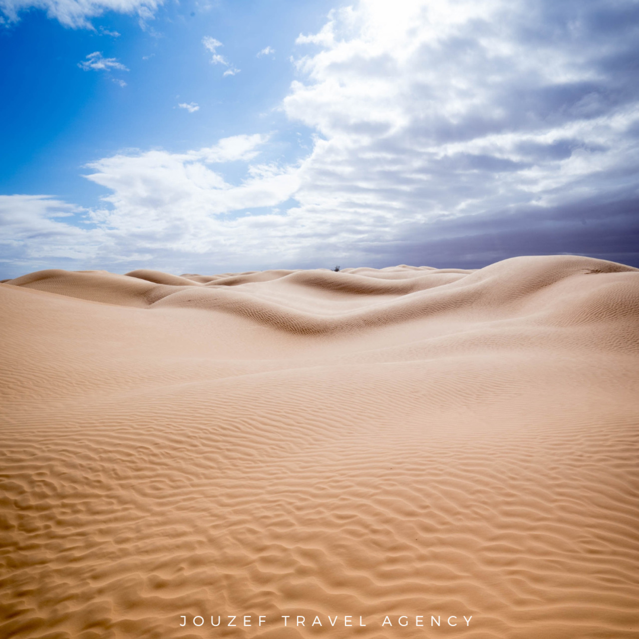 Golden sand dunes in the Sahara desert near Douz, Tunisia