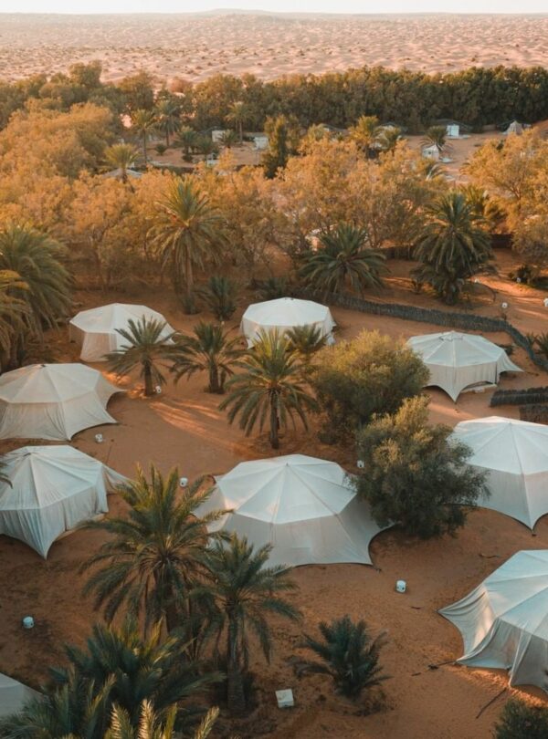 Ksar Ghilane Oasis - Natural Hot Spring in the Tunisian Sahara