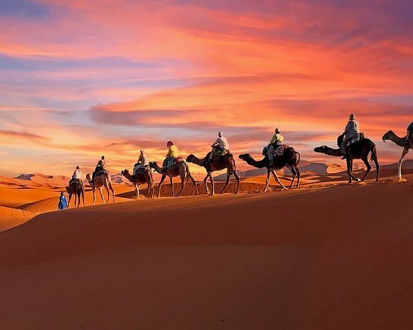 Douz Sahara Desert Gateway in Tunisia