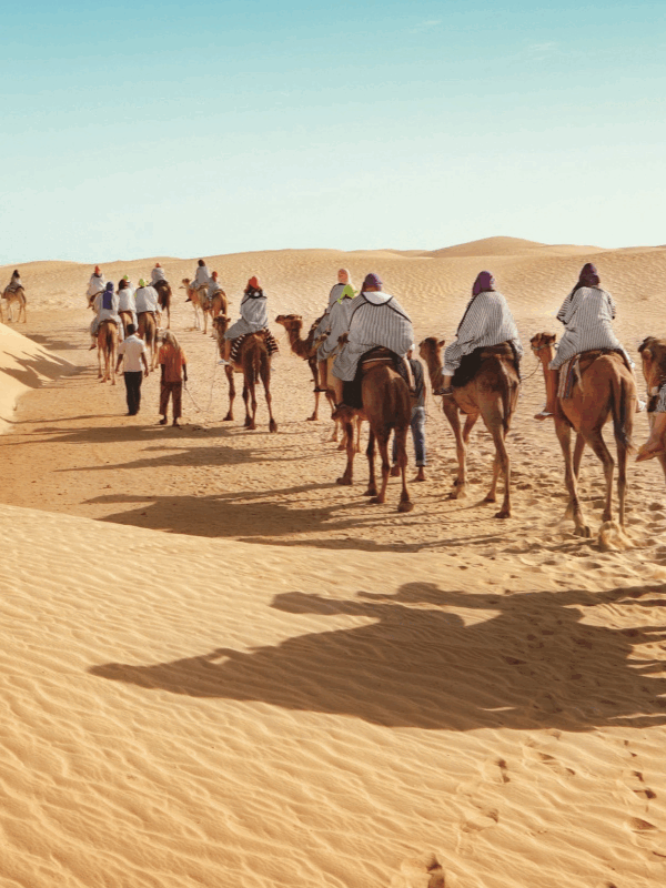 Group camel trekking through the dunes towards the desert camp in Douz, Tunisia