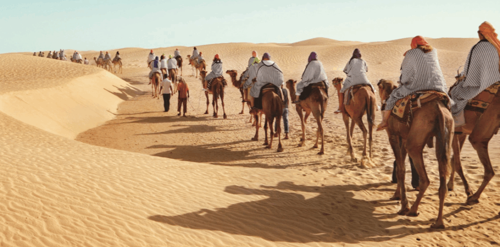 Group camel trekking through the dunes towards the desert camp in Douz, Tunisia