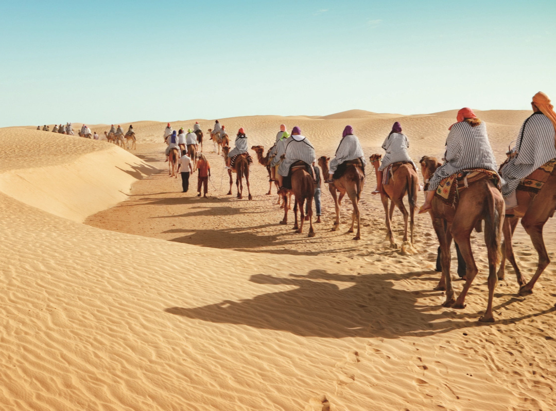 Group camel trekking through the dunes towards the desert camp in Douz, Tunisia