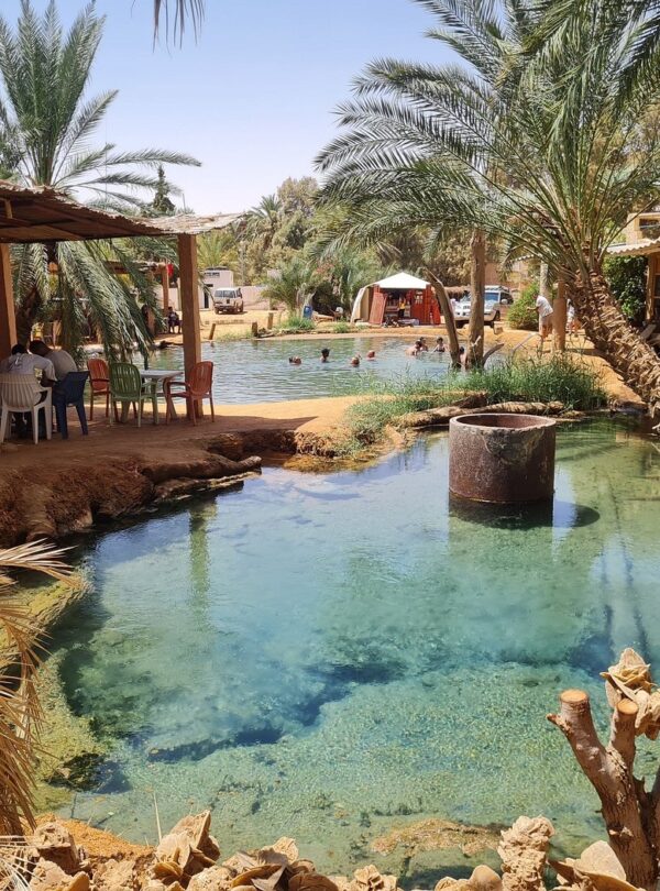Natural hot spring in Ksar Ghilane Oasis during Djerba Sahara Tour