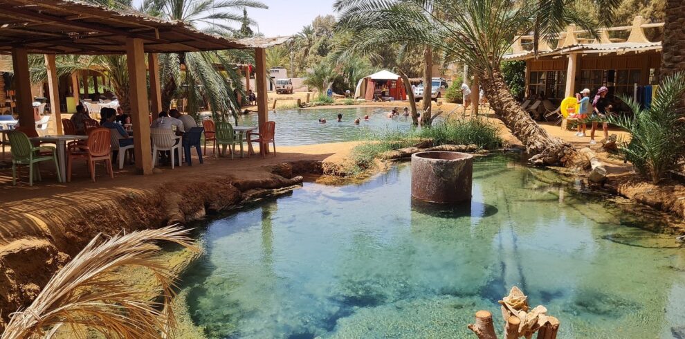 Natural hot spring in Ksar Ghilane Oasis during Djerba Sahara Tour