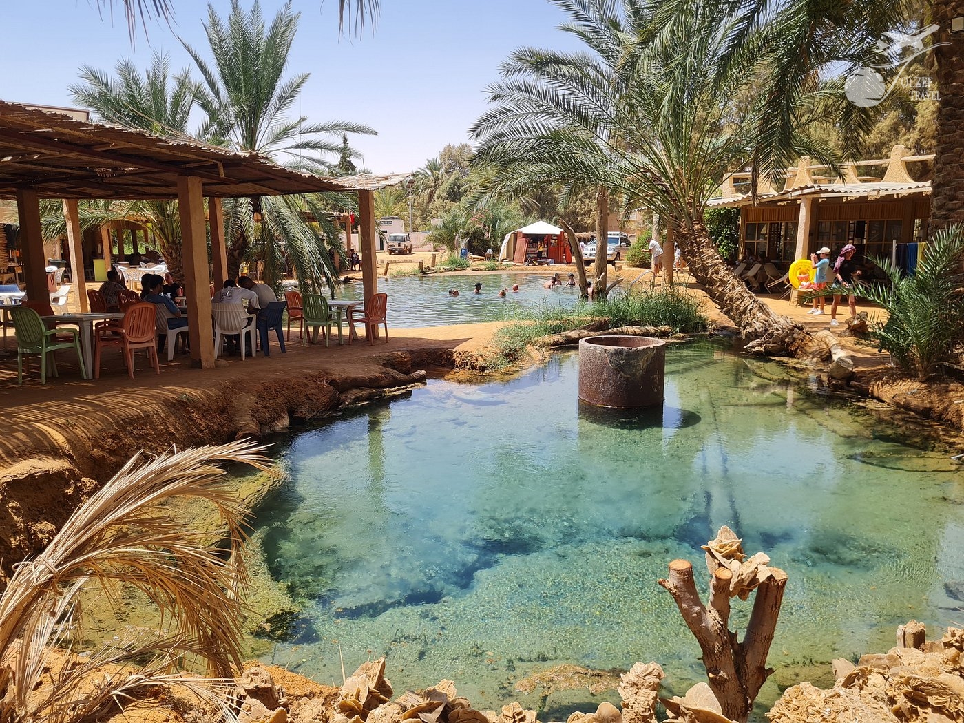 Natural hot spring in Ksar Ghilane Oasis during Djerba Sahara Tour